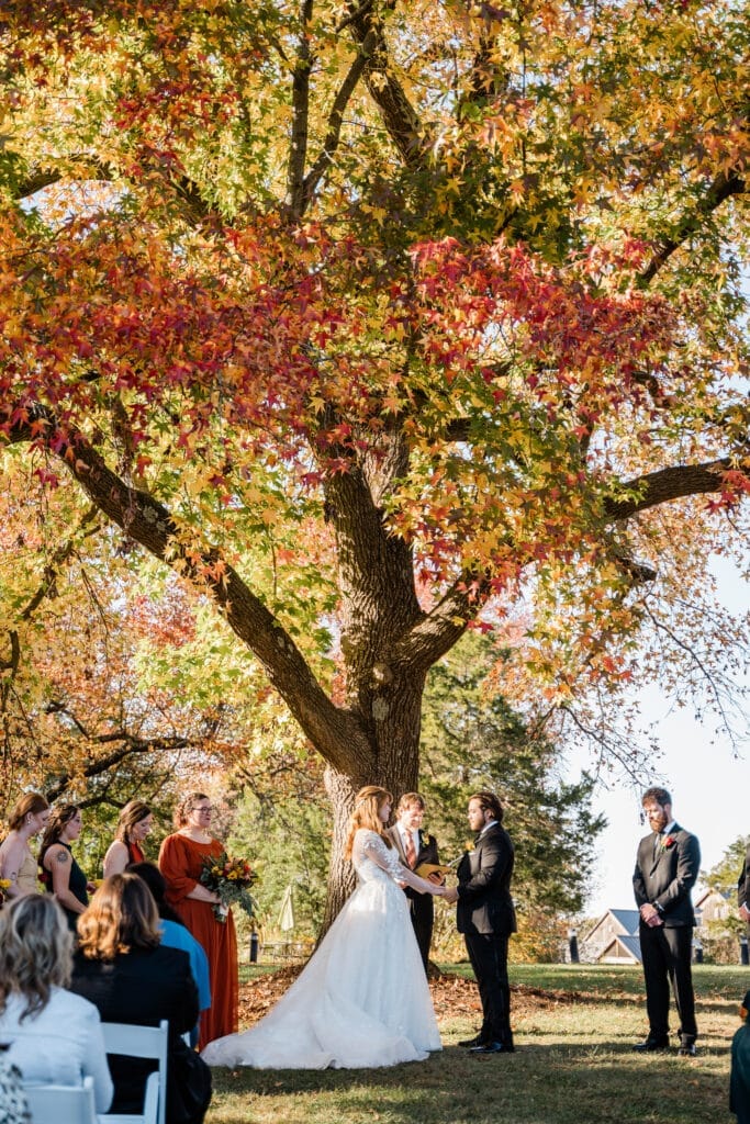 A wonderful Autumn Wedding!
